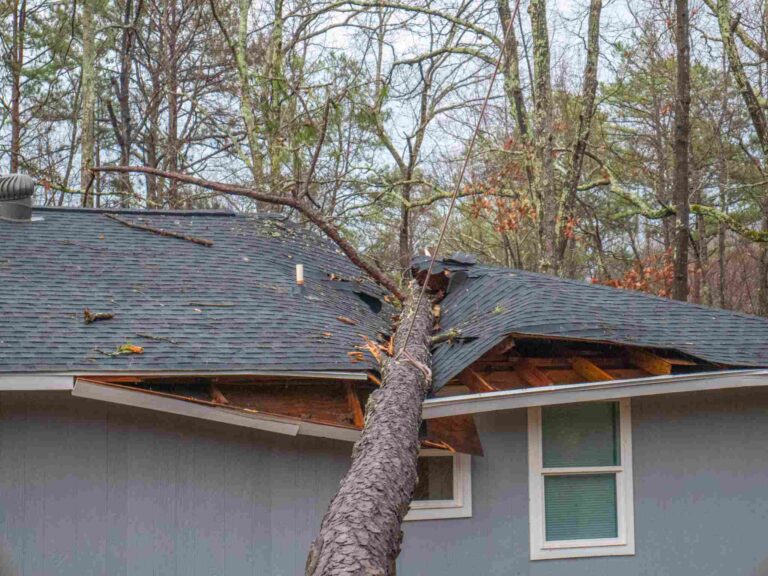 Storm damage to residential roof in Idaho Falls, ID with fallen tree causing structural damage, requiring emergency roof repair and restoration services